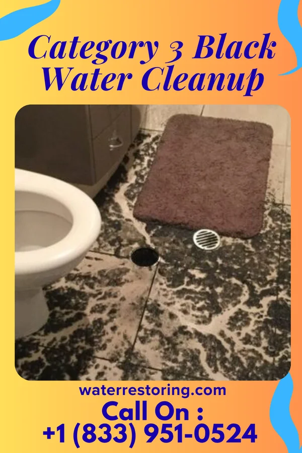 Category 3 Black Water Cleanup in Toronto, SD