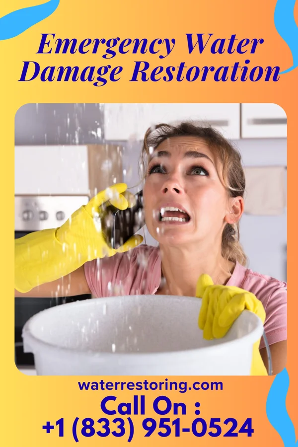 Emergency Water Damage Restoration in Toronto, SD